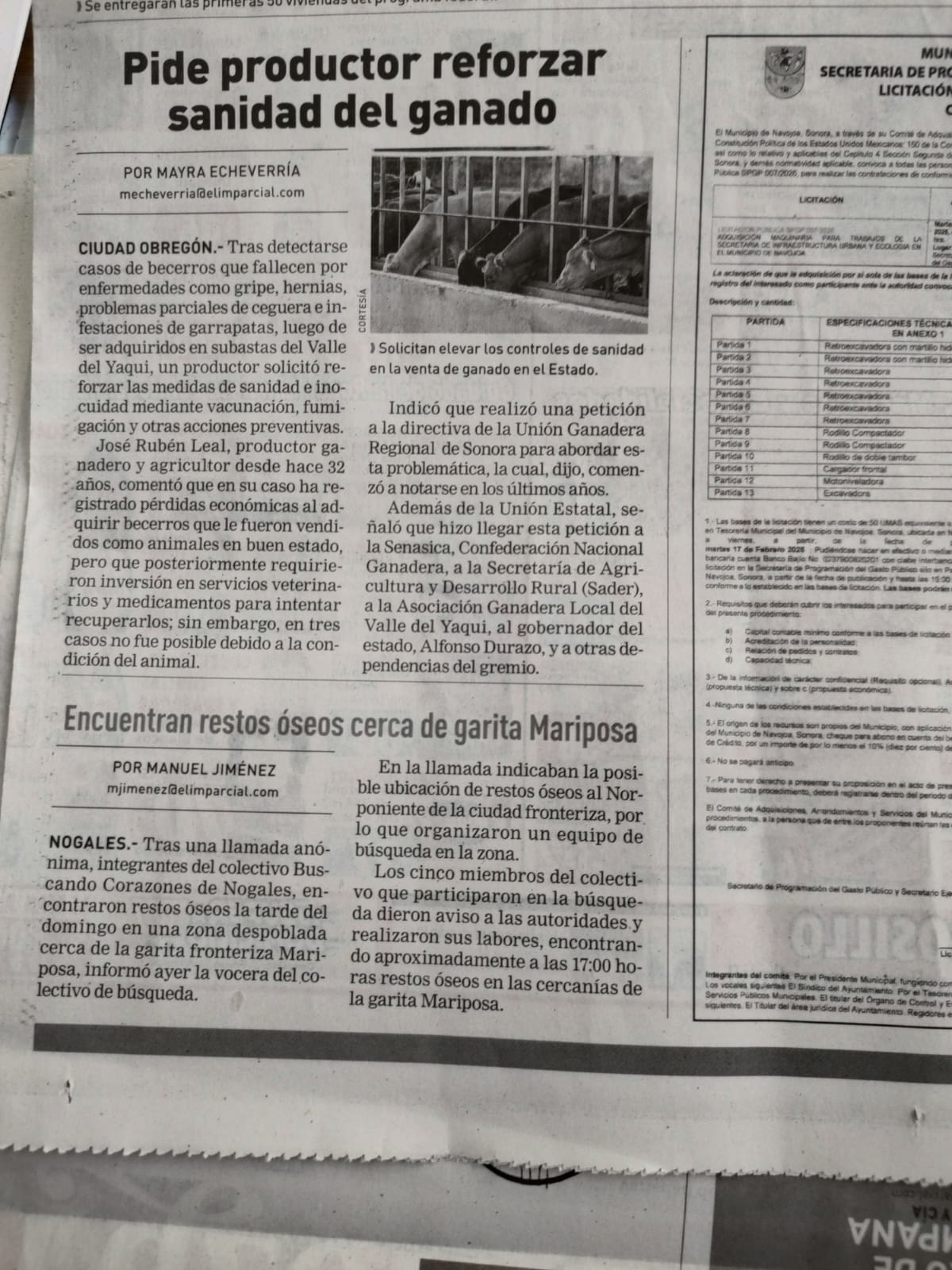 De la propuesta al movimiento: el gremio ganadero comienza a organizarse